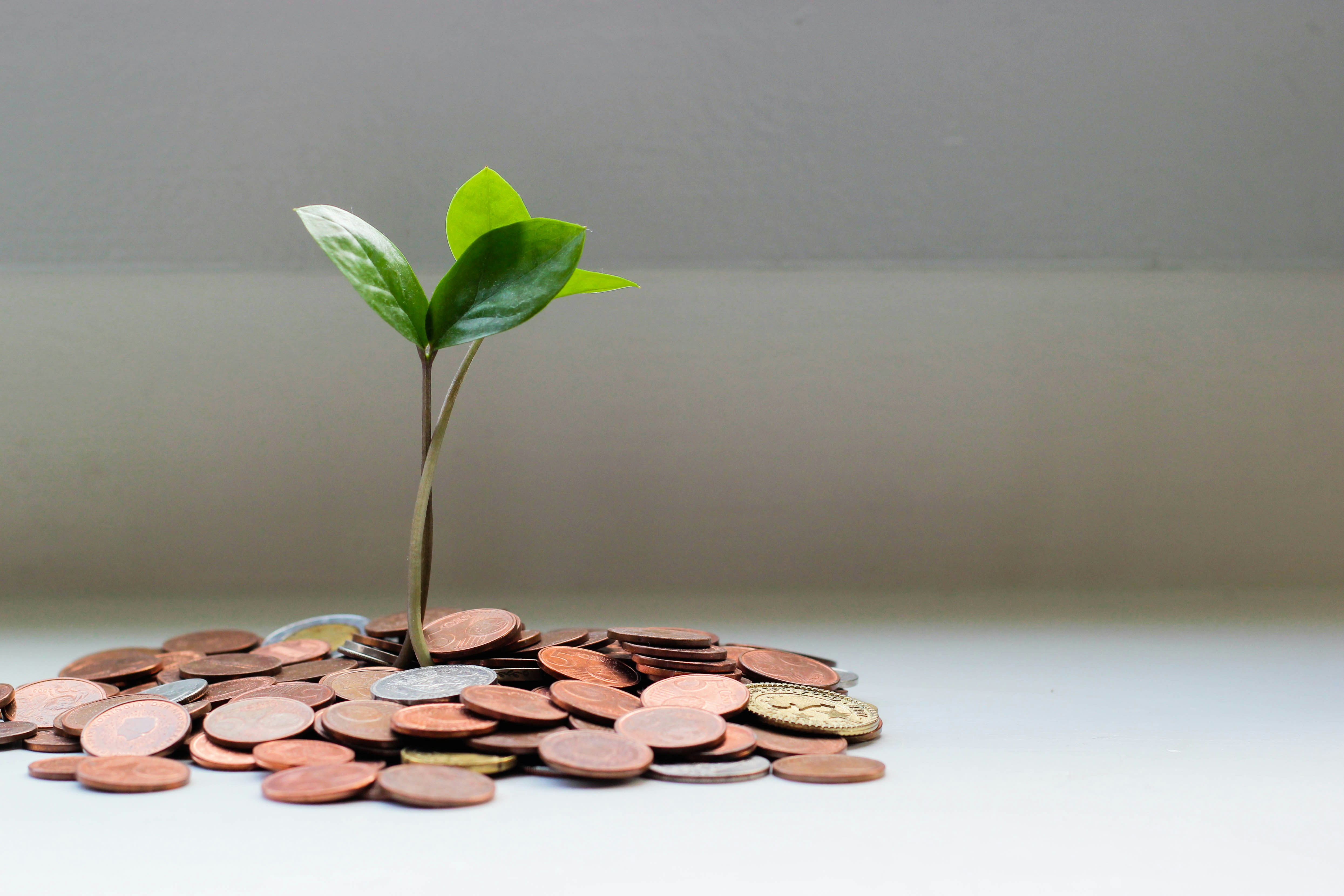 Investment